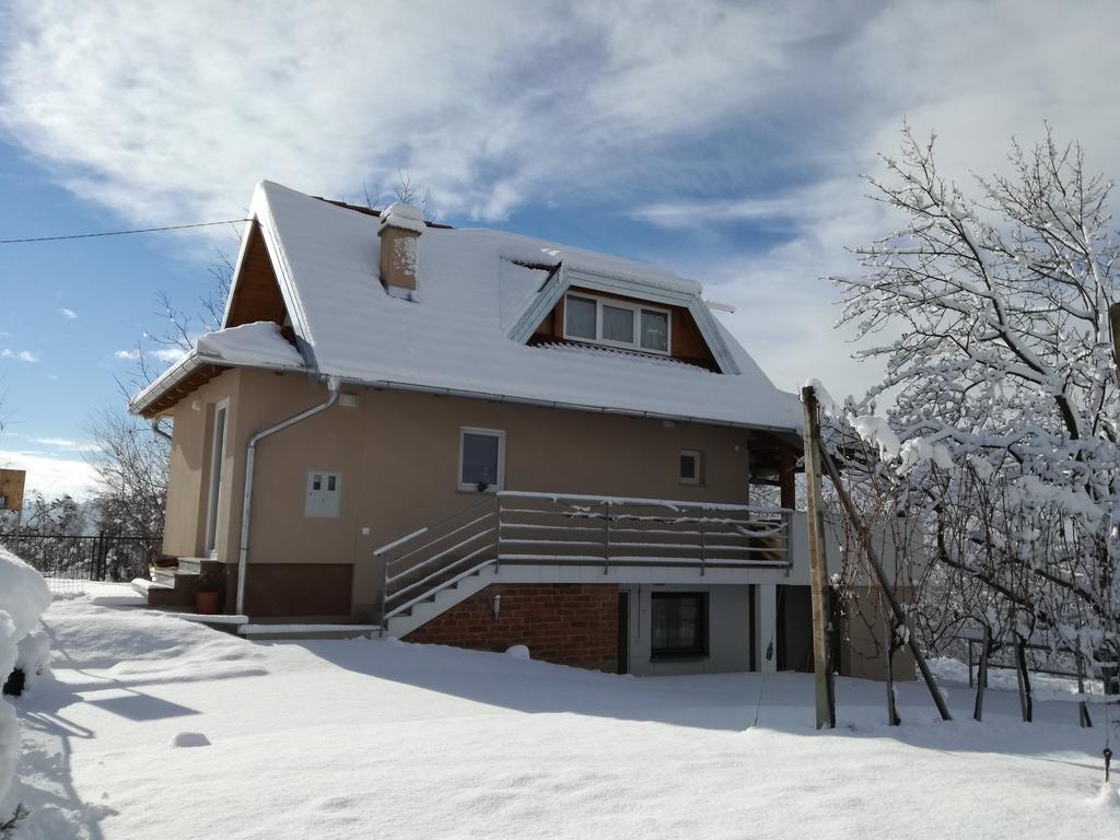 Elizabeta Holiday Home Strigova Buitenkant foto