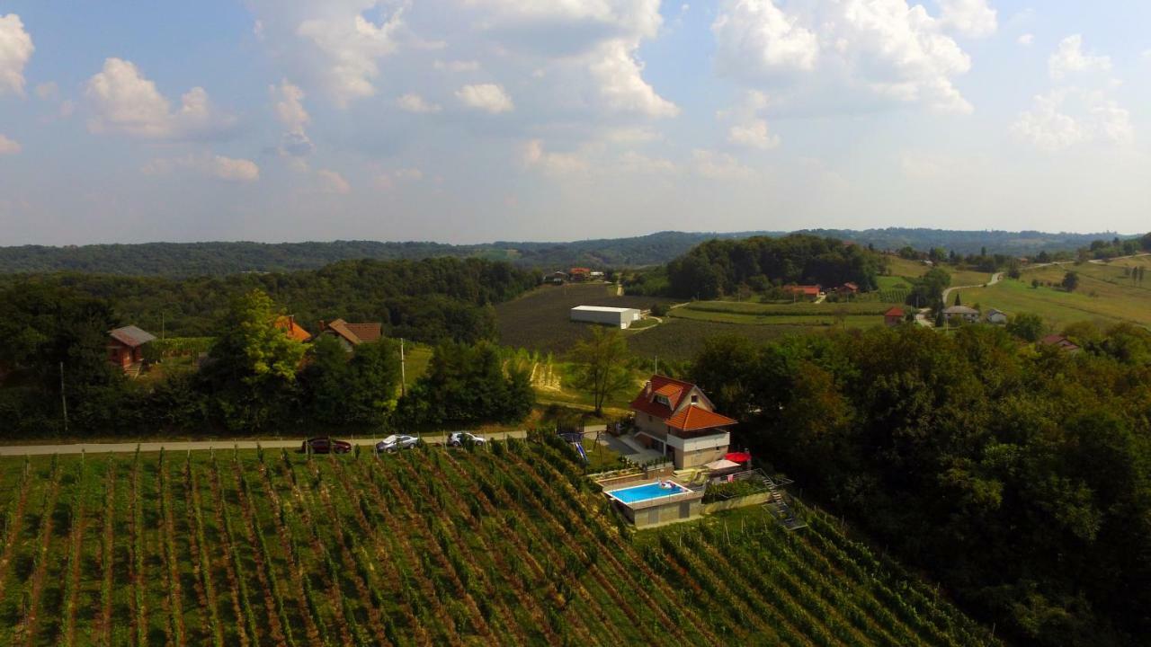 Elizabeta Holiday Home Strigova Buitenkant foto