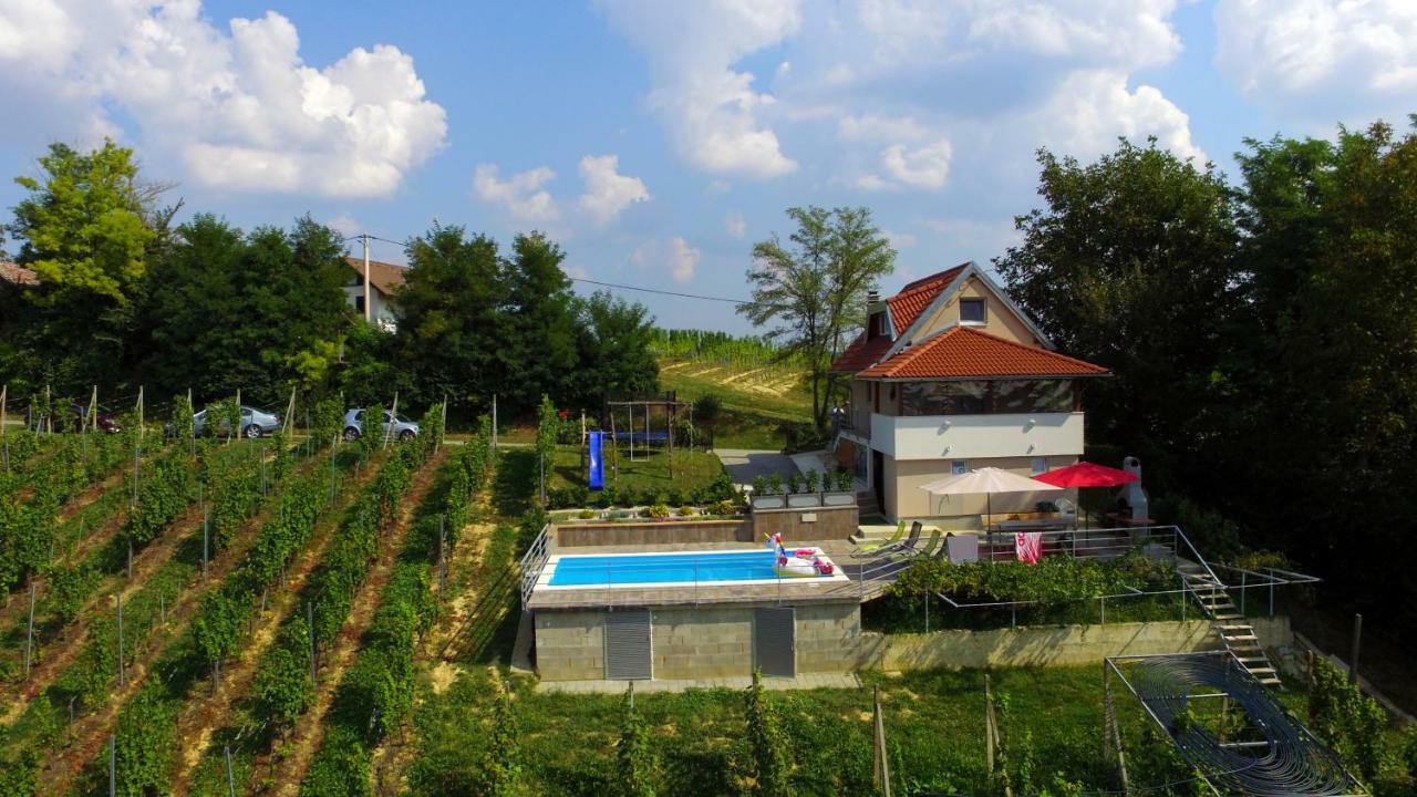 Elizabeta Holiday Home Strigova Buitenkant foto